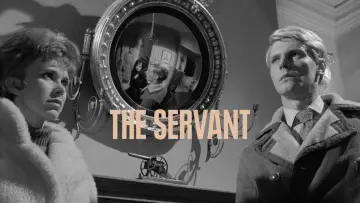 Backdrop to the movie "The Servant" #1041242