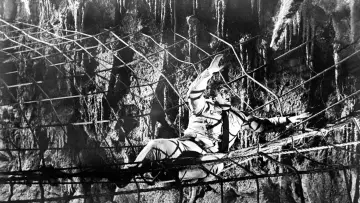 Backdrop to the movie "Earth vs. the Spider" #1143433