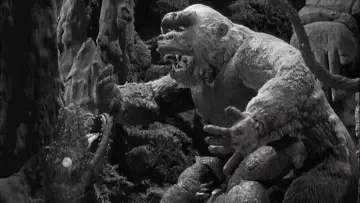 Backdrop to the movie "The Son of Kong" #1013361