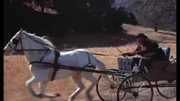 Backdrop to the movie "Friendly Persuasion" #1092310