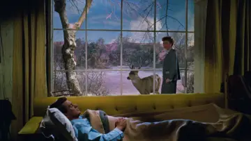 Backdrop to the movie "All That Heaven Allows" #1053719