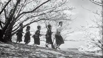 Backdrop to the movie "Twenty-Four Eyes" #1839139