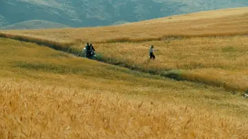 Backdrop to the movie "The Wind Will Carry Us" #1350602