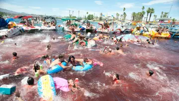 Backdrop to the movie "Piranha 3D" #1799413
