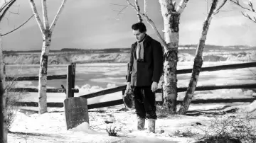 Backdrop to the movie "Young Mr. Lincoln" #1578036