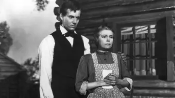Backdrop to the movie "Young Mr. Lincoln" #1578043