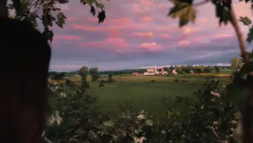 Backdrop to the movie "Flipped" #180169