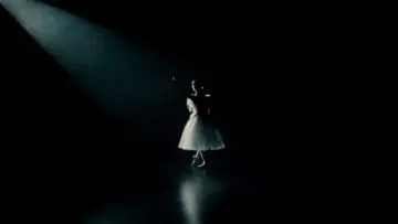 Backdrop to the movie "Black Swan" #595667