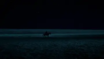 Backdrop to the movie "True Grit" #640474