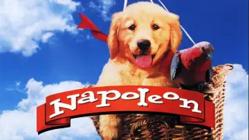 Backdrop to the movie "Napoleon" #646954