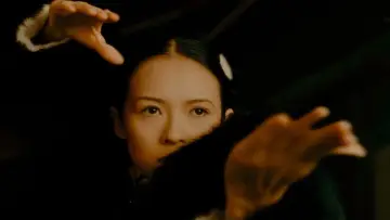 Backdrop to the movie "The Grandmaster" #531959