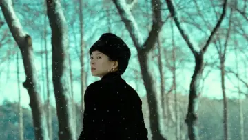 Backdrop to the movie "The Grandmaster" #531970