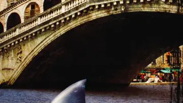 Backdrop to the movie "Sharks in Venice" #1809295