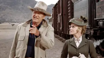 Backdrop to the movie "The Train Robbers" #861001