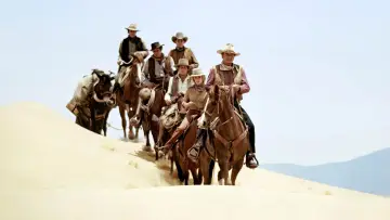 Backdrop to the movie "The Train Robbers" #861007