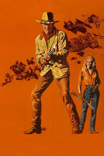 Poster to the movie "The Train Robbers" #861043