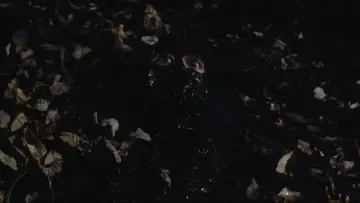 Backdrop to the movie "Entrails of a Virgin" #1094608