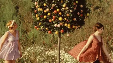 Backdrop to the movie "Daisies" #988141