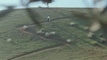 Backdrop to the movie "Through the Olive Trees" #457603