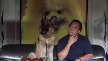 Backdrop to the movie "K-9: P.I." #1075096