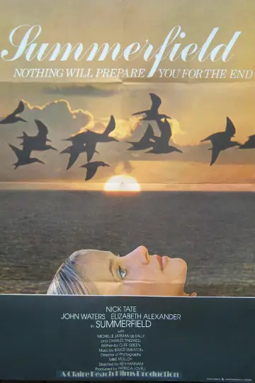 Poster to the movie "Summerfield" #1132753