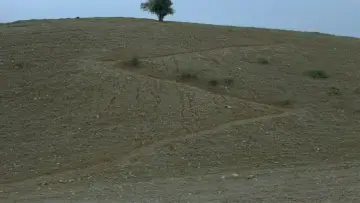 Backdrop to the movie "Where Is My Friend