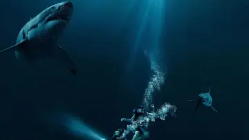 Backdrop to the movie "47 Meters Down" #338065