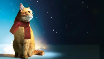 Backdrop to the movie "A Street Cat Named Bob" #182769