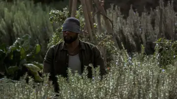 Backdrop to the movie "Bird Box" #1216515