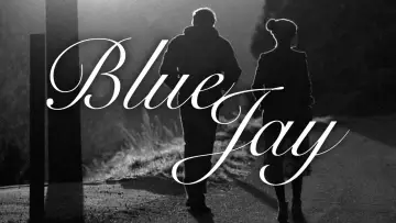 Backdrop to the movie "Blue Jay" #992603