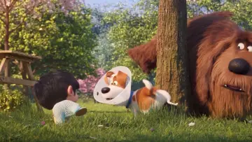 Backdrop to the movie "The Secret Life of Pets 2" #250174