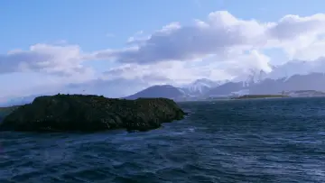 Backdrop to the movie "Before the Flood" #1033074