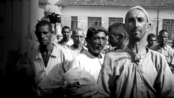 Backdrop to the movie "Brazilian Holocaust" #1785698