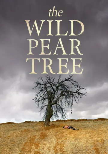 Poster to the movie "The Wild Pear Tree" #1093743