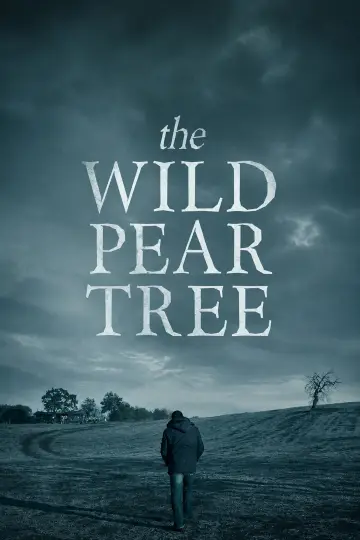 Poster to the movie "The Wild Pear Tree" #1616277