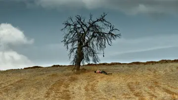 Backdrop to the movie "The Wild Pear Tree" #451600