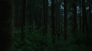 Backdrop to the movie "I Don
