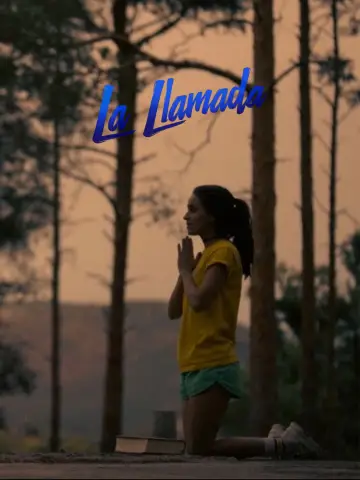 Poster to the movie "Holy Camp!" #994479