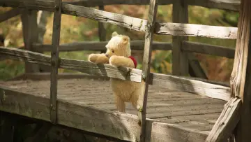 Backdrop to the movie "Christopher Robin" #805761