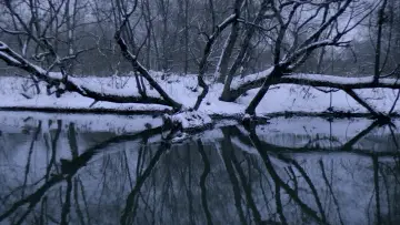 Backdrop to the movie "Loveless" #1747964