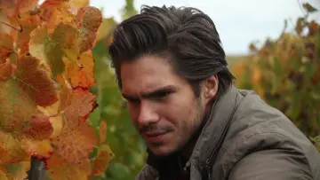 Backdrop to the movie "Back to Burgundy" #255079
