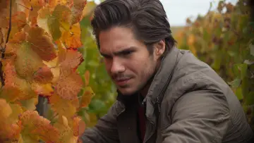 Backdrop to the movie "Back to Burgundy" #993915