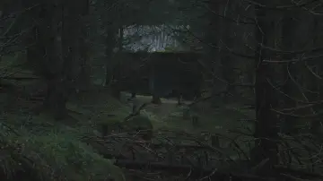 Backdrop to the movie "The Ritual" #686336