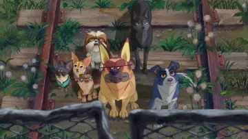 Backdrop to the movie "A Dog