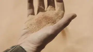 Backdrop to the movie "Dune" #529522