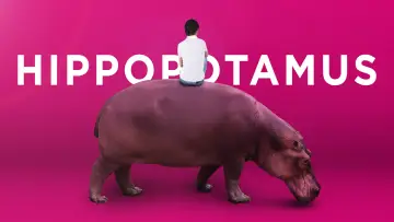 Backdrop to the movie "The Hippopotamus" #1122819