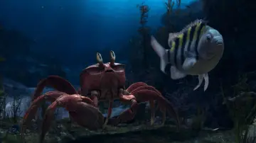 Backdrop to the movie "The Little Mermaid" #578304