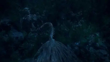Backdrop to the movie "The Little Mermaid" #578318