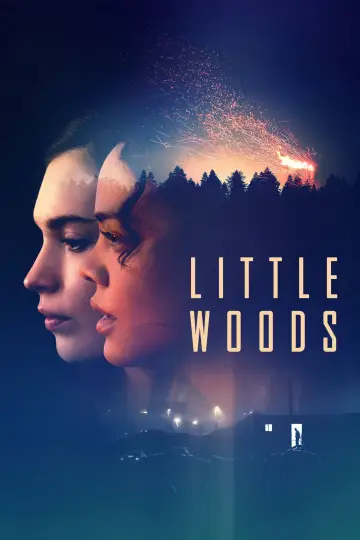 Poster to the movie "Little Woods" #1867834