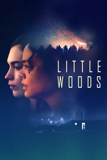 Poster to the movie "Little Woods" #1867835